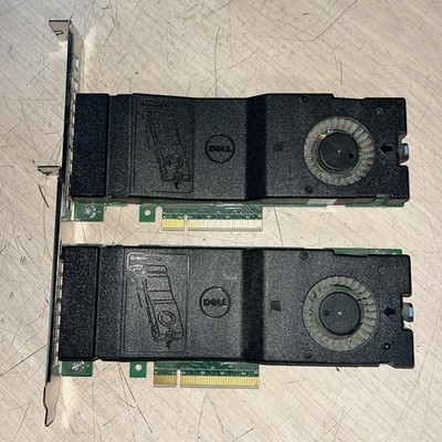 x2 DELL MSIP-REM-FCI-DPWC300 CARD
