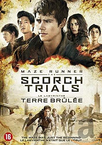 Maze runner - Scorch trials (DVD)