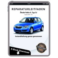 Skoda Fabia (06-14) Instandhaltung Inspektion Wartung Reparaturleitfaden Ebook