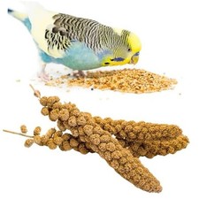 Bird Seed Parakeet Food - 200 Gram Vacuum Sealed Millet Treat for Birds