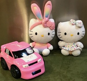 Hello Kitty Plush Dolls!with: Car, miniatures & accessories!.(MMA) | eBay