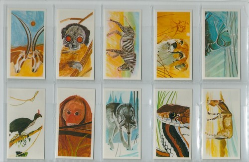 Brooke Bond. RE-ISSUE. A full set, 40 British cards, B32: 'Vanishing Wildlife' - Picture 5 of 8
