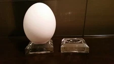 5 Large 1-1/2" Dimple Display Stands For Dove, Quail and all Eggs