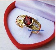 Natural Garnet & CZ Stones with 925 Sterling Silver Gold Plated Ring for Men #J6