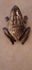 Pointer Stoves and Ranges Cast Iron Frog, Match Holder, Gohmann and Kahler Co