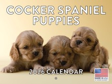 Cocker Spaniel Puppies Calendar 2026 Monthly Wall Calender Made In The USA