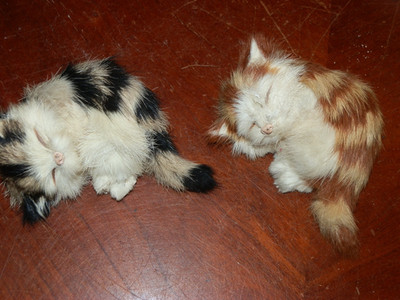 Vintage Two Small Furry Cats Kittens Sleeping Pink Noses 3.5 x 2.5''