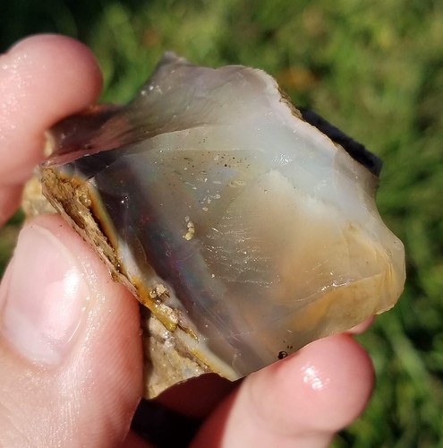MINE DE BONANZA EN BOIS OPALE VIRGIN VALLEY, NEVADA 298 CARATS #D26 - Photo 3 sur 9