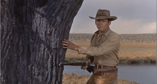 From Hell to Texas 1958 DVD - Don Murray, Dennis Hopper, Chill Wills - Picture 3 of 12