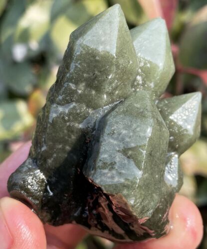 102g ¡¡¡EXCELENTE!!! Nuevo hallazgo raro NATURAL racimos de cristal verde espécimen ie2117 - Imagen 5 de 12
