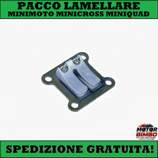 Pacco Lamellare Valvola a Lamelle per Minimoto Minicross Miniquad 49cc ATV