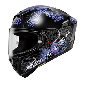 Shoei X 15 Helmet | eBay