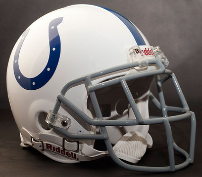 REGGIE WAYNE INDIANAPOLIS COLTS Schutt EGOP Football Helmet FACEMASK - GRAY