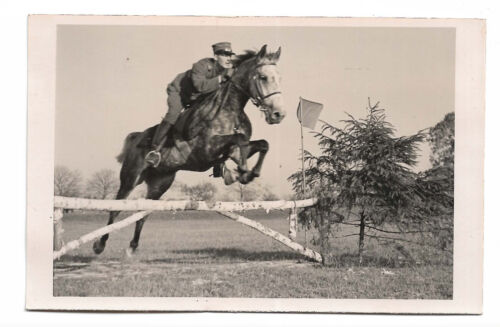 Postcard Swiss army soldier horse jumping fence cavalry ? Frauenfeld 1919 RPPC - Picture 1 of 3