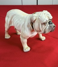 Vtg Royal Doulton English Bulldog HN 1074 White Fawn Dog Figurine F Daws