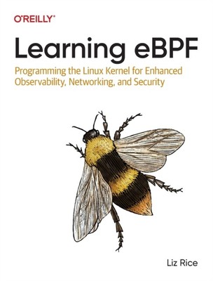 Learning eBPF von Liz Rice NEU Taschenbuch Broschüre