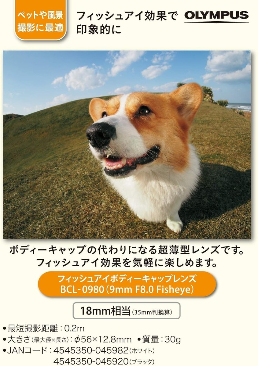 Olympus BCL-0980 White Fisheye Body Cap Lens 9mm f/8.0 MF
