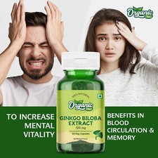 Extrait De Ginkgo Biloba Bio 120mg Grande Bouteille 30 Capsules