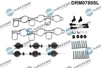 Dr.Motor Automotive Reparatursatz Saugrohrmodul FüR Audi A6 Allroad 3.0 TDI