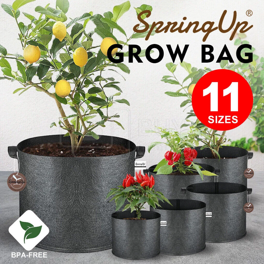 Update 154+ fabric grow bags for plants super hot - 3tdesign.edu.vn