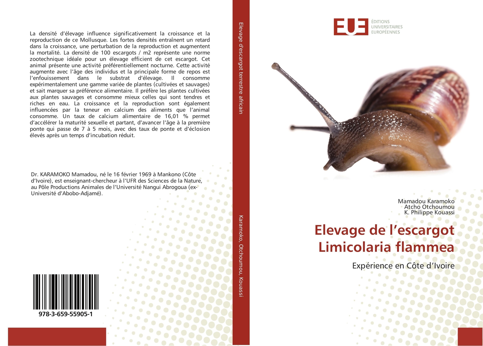 Thumbnail - Elevage De L¿escargot Limicolaria Flammea Expérience En Côte D¿ivoire