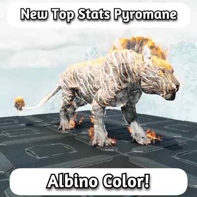 ARK Survival Ascended Albino Pyromane (Pyro) TOP STATS - PVE Official