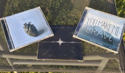 Bethel Music We Will Not Be Shaken,You Make Me Brave,Have it all, Gretzinger Co