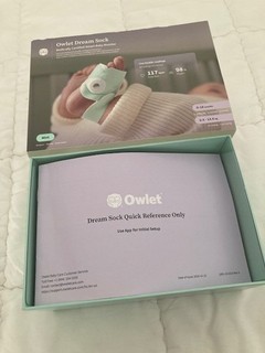 Owlet Dream Duo – Baby Monitor mit Dream Sock Sensor MINT