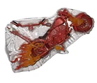 Marvel Legends Ghost Rider's MOTORCYCLE Flaming Hellcycle Riders Johnny Blaze