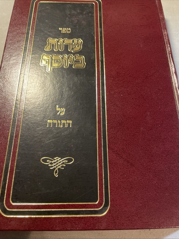 New! Sefer עדות ביוםף