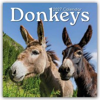 Donkeys - Esel 2027 - 16-Monatskalender | Gifted Stationery Co. Ltd | Deutsch
