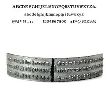 No.630-8C Bookman Type Shuttle for Varityper Typewriter Vtg Hammond thumbnail