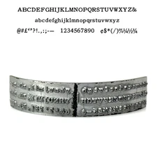 No.630-8C Bookman Type Shuttle for Varityper Typewriter Vtg Hammond