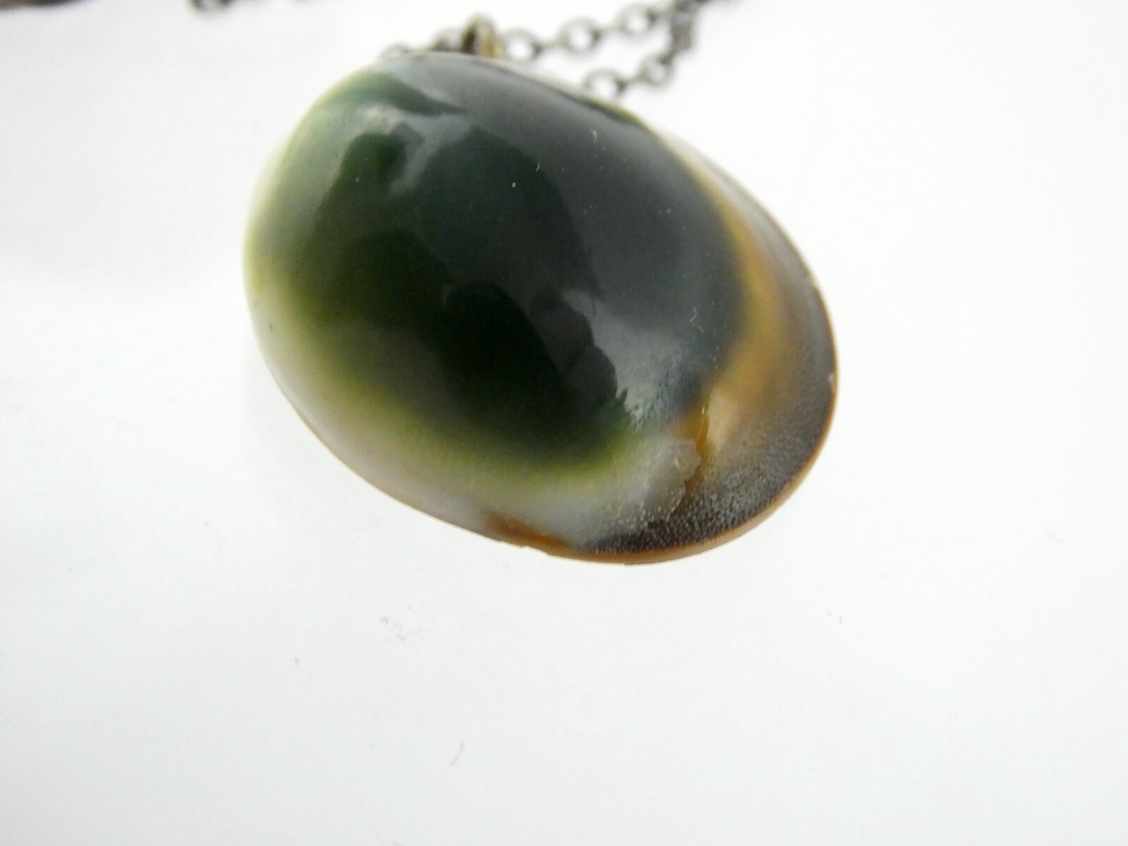 Sterling Silver Snail Shell Operculum Pendant Nec… - image 19