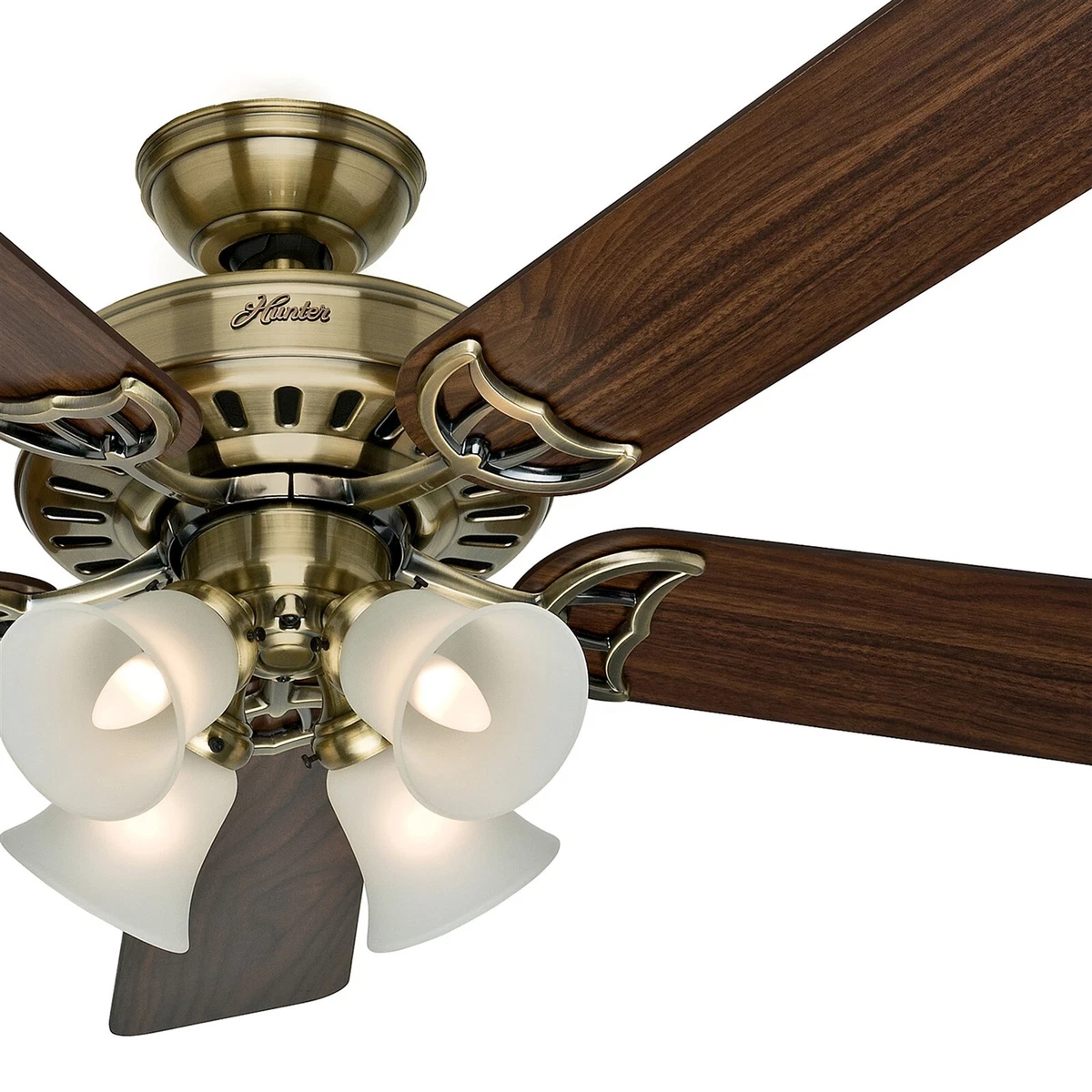 Hunter Original Polished Brass Ceiling Fan Shelly Lighting