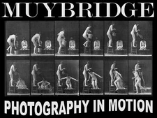 11511.Decorative Poster.Wall art decor.Muybridge photography.Lesbian bath