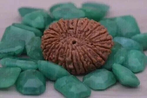 Energized 19 Mukhi Rudraksha Hindu Sacred Very Rare Bead (Lab Certified A++) - Picture 2 of 3