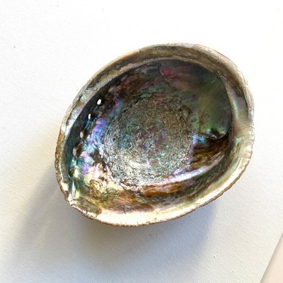 6.5'' Iridescent Rainbow Abalone Half Shell Candle Holder Beach Flare Vintage