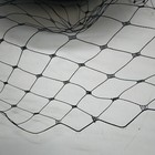 Bild 13 von 15