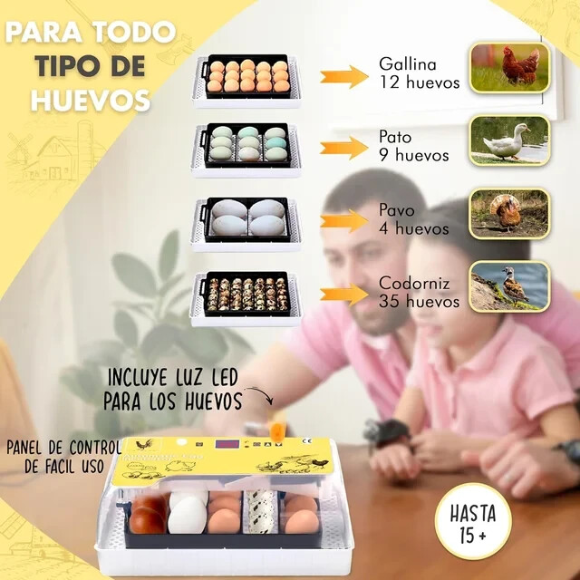 Imagen 2 de 5