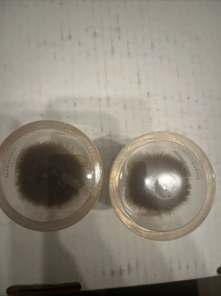 (2) L'Oreal True Match Naturale Mineral Makeup- Carmel Beige W7 - Image 2 of 3