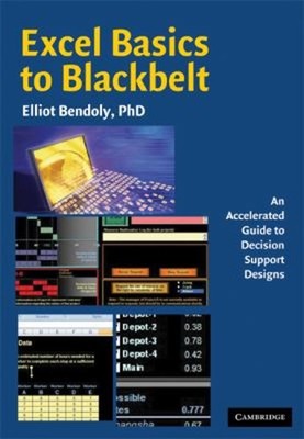 Excel Basics to Blackbelt : An Accelerated Guide to Decision Supp