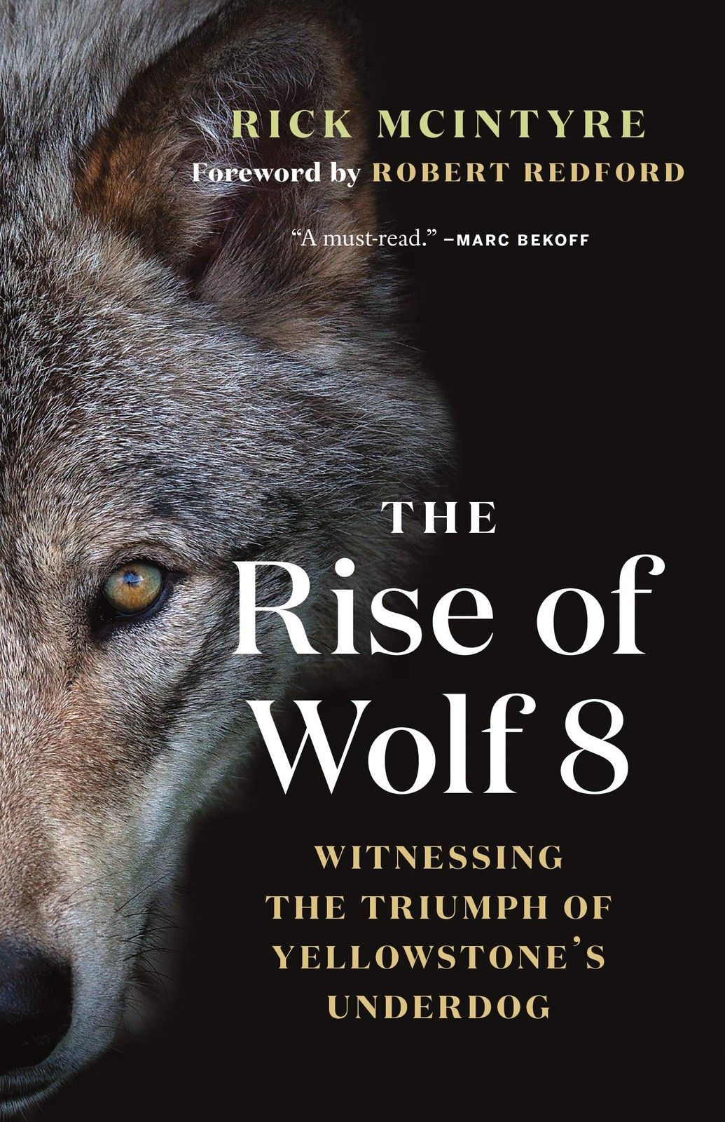 The Rise of Wolf 8: Witnessing the Triumph of Yellowstone's Underdog (The Al...
