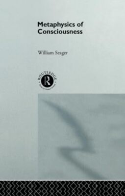 Metaphysics of Consciousness by William Seager (Paperback, 2014)