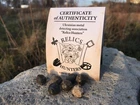 WW1 Lead Balls Lot of 5 Pcs - WWI German Militaria Original 1914-18 Trench Relic