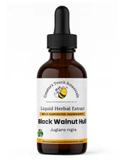 Black Walnut Hull Tincture Organic, 2oz bottle, Digestive, Antiparasitic, Immune