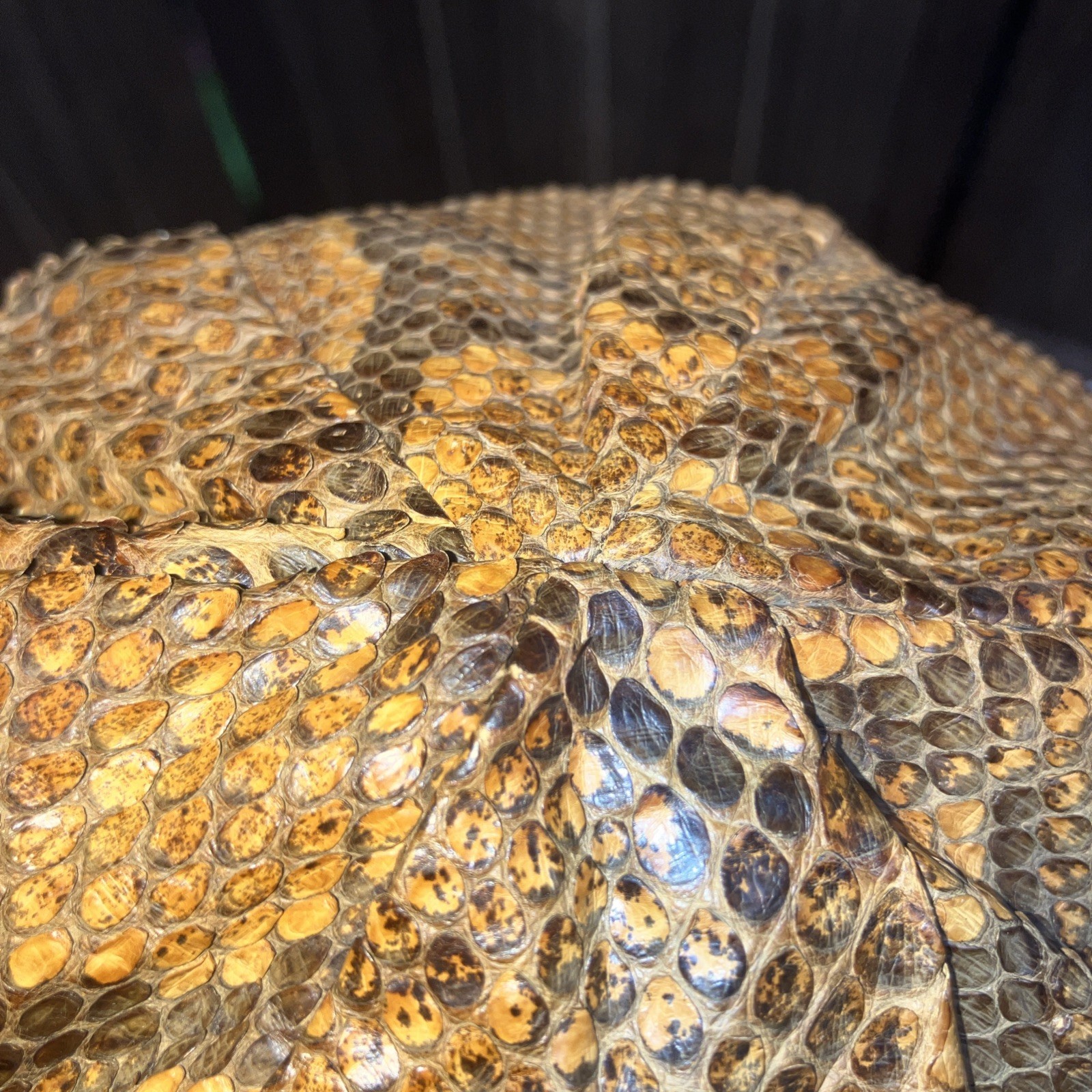 Genuine Python Snakeskin Baseball Cap With Sewn I… - image 9