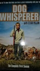 Dog Whisperer With Cesar Millan - The Co DVD