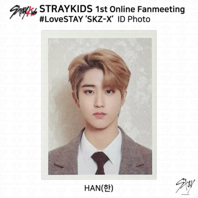 Stray Kids 1st Online Fanmeeting #LoveStay SKZ-X ID Picture Photo