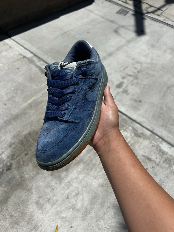 Talla 9 - Nike Dunk Pro B Pitufo Bajo Foto 2 de 4